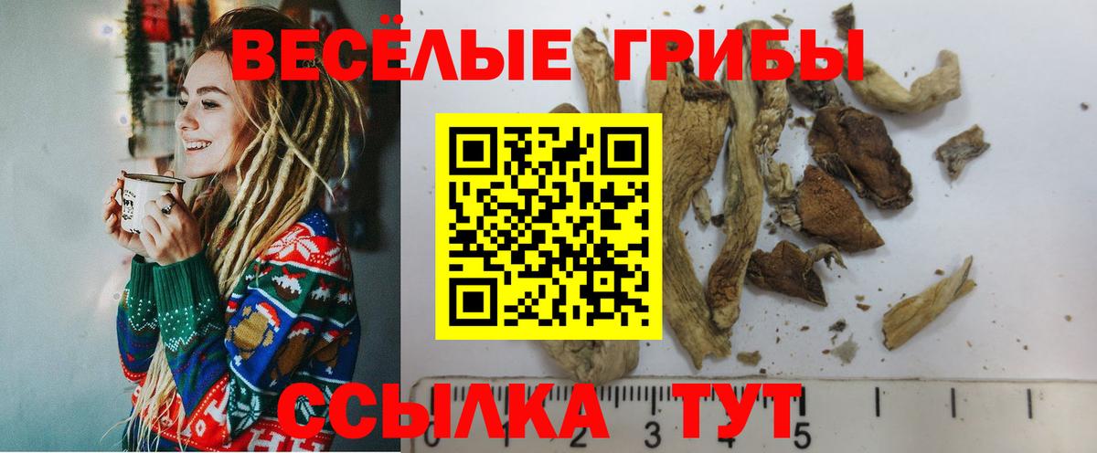 Галлюциногенные грибы мицелий  Вход с VPN  Галлюциногенные грибы Cubensis  Еманжелинск 